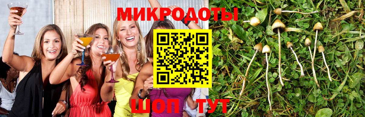 Видное  Галлюциногенные грибы Magic Shrooms  Псилоцибиновые грибы мицелий  Вход с VPN 